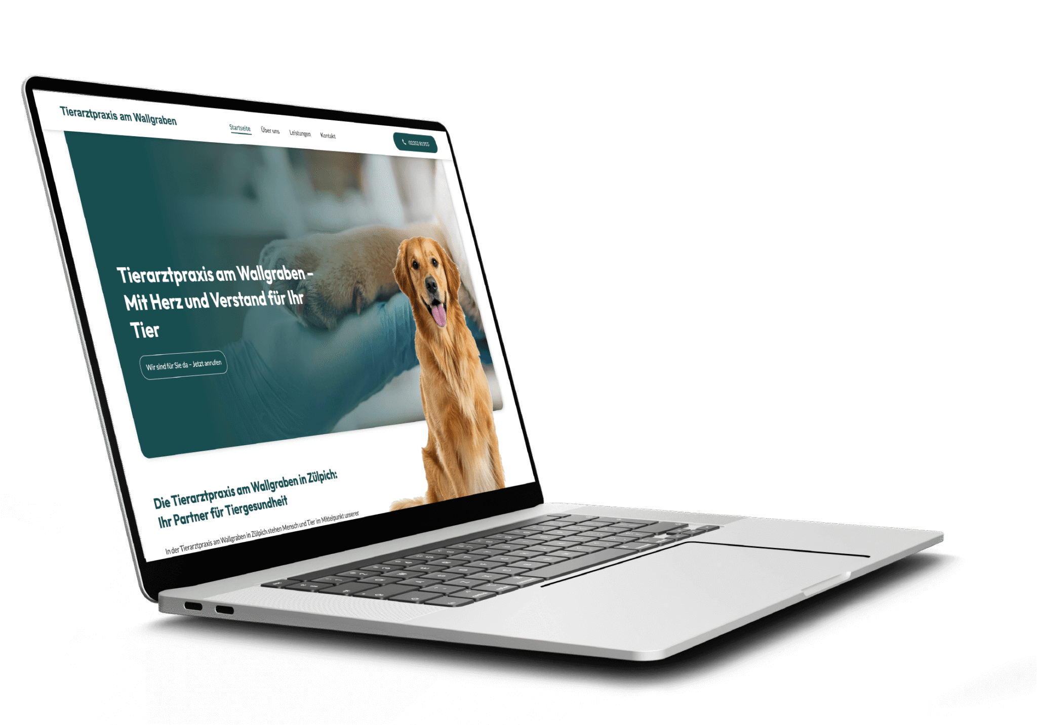 Webdesign Agentur Köln