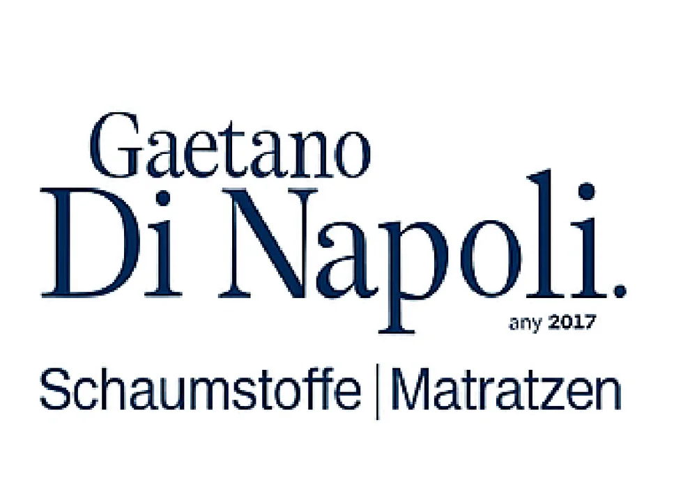 Logo Geatano Di Napoli