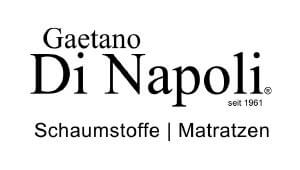 Gaetano Di Napoli Logo